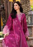 Aurea - Eid Summer 25 - Fuchsia Flare